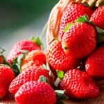 Berries, brócoli y lechuga impulsan agricultura por contrato en Guanajuato