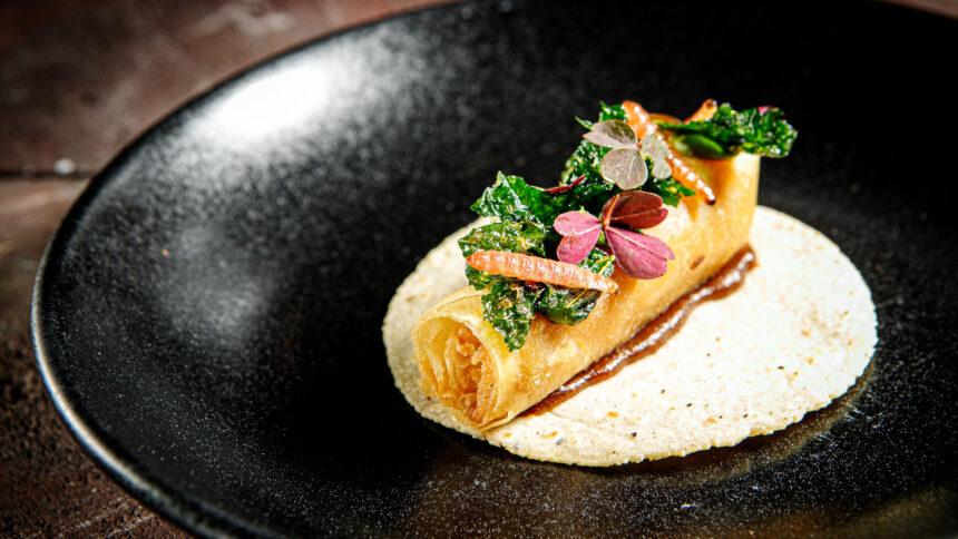 Bichos al Taco: La Revolución Deliciosa que Transformará Tu Comida