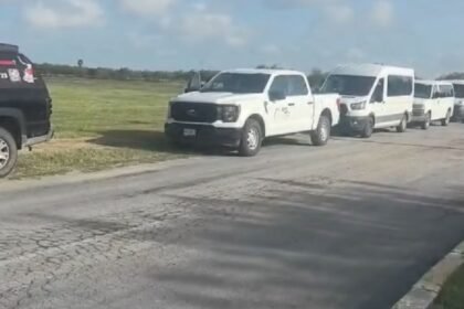 Buscadoras descubren siete osamentas en cementerio clandestino de Tamaulipas