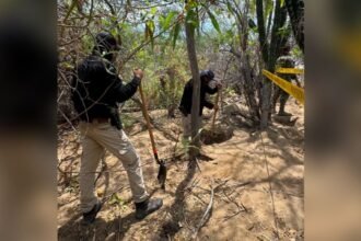 Buscadoras y autoridades descubren cinco fosas clandestinas en Baja California Sur