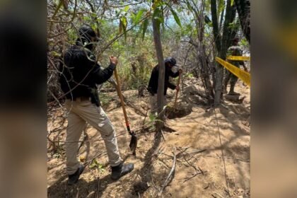 Buscadoras y autoridades descubren cinco fosas clandestinas en Baja California Sur