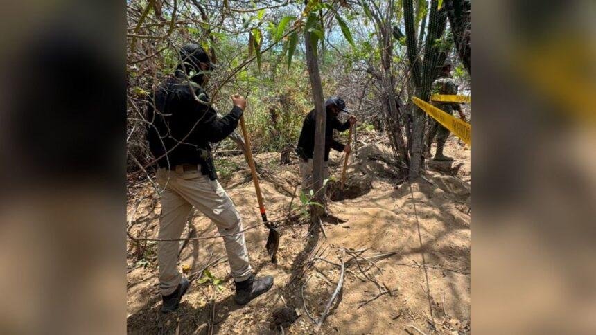 Buscadoras y autoridades descubren cinco fosas clandestinas en Baja California Sur