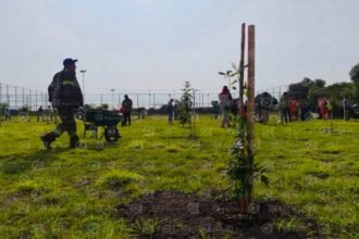 Celaya inicia reforestación con tres mil árboles para mejorar el entorno