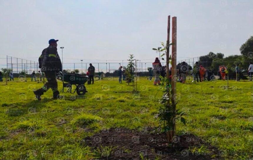 Celaya inicia reforestación con tres mil árboles para mejorar el entorno