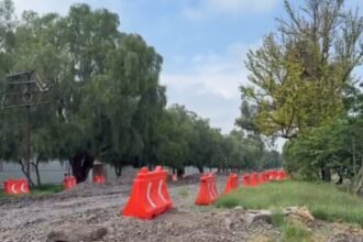 Celaya: Obras del tren beneficiarán a la ciudadanía, asegura Medio Ambiente
