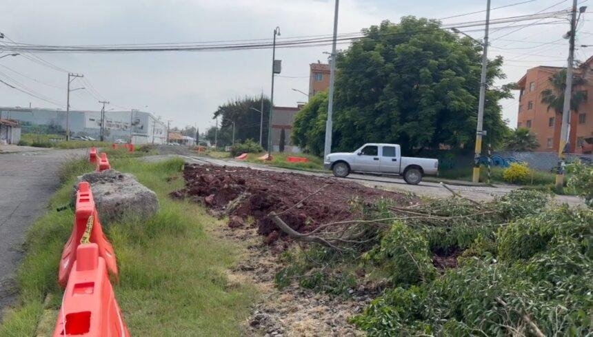 Celaya: Protesta por tala de árboles genera debate político local