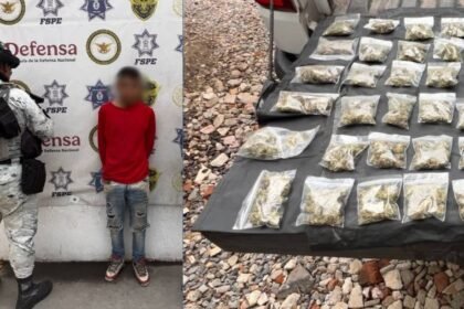 Celaya refuerza patrullajes para combatir el tráfico de drogas