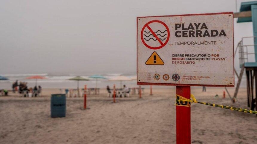 Cofepris declara cinco playas de México no aptas para vacacionar por contaminación