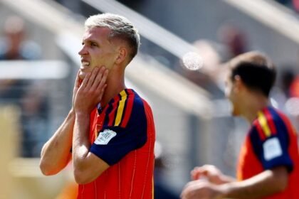 dani olmo rechaza disculpas del auxiliar argentino tras el mundial Dani Olmo rechaza disculpas del auxiliar argentino tras el Mundial