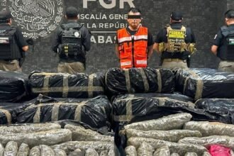 Decomisan más de una tonelada de marihuana en carretera de Tabasco con un detenido