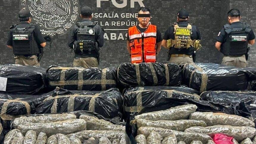 Decomisan más de una tonelada de marihuana en carretera de Tabasco con un detenido