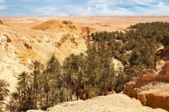 Descubren al menos 33 cadáveres en desierto de Sudán, incluidos niños y mujeres