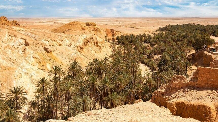 descubren al menos 33 cadaveres en desierto de sudan incluidos Descubren al menos 33 cadáveres en desierto de Sudán, incluidos niños y mujeres