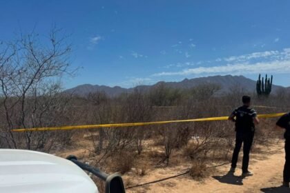 Descubren fosa clandestina en Los Cabos; investigan restos para su identificación