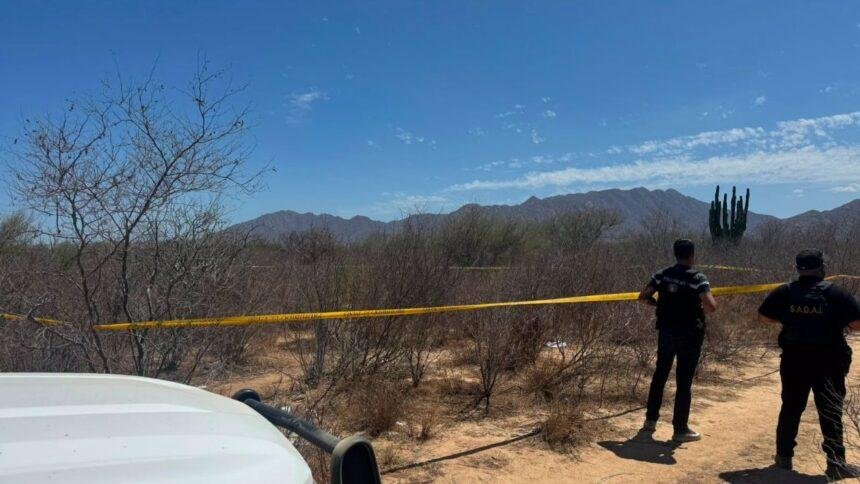 descubren fosa clandestina en los cabos investigan restos para su Descubren fosa clandestina en Los Cabos; investigan restos para su identificación