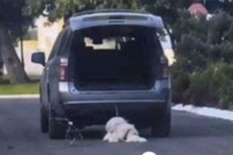 Detenciones por crueldad contra un perro involucran a familia de políticos en Coahuila