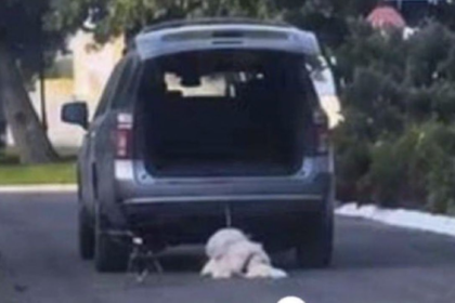 Detenciones por crueldad contra un perro involucran a familia de políticos en Coahuila