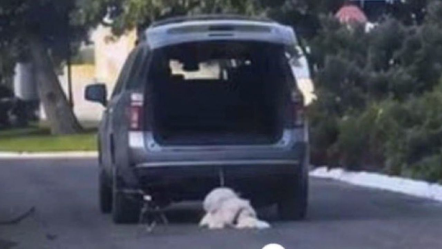 Detenciones por crueldad contra un perro involucran a familia de políticos en Coahuila