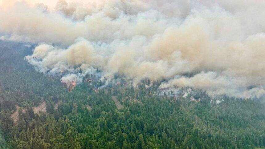 ejercito de canada evacua comunidad remota frente a incendios forestales Ejército de Canadá evacua comunidad remota frente a incendios forestales en EU