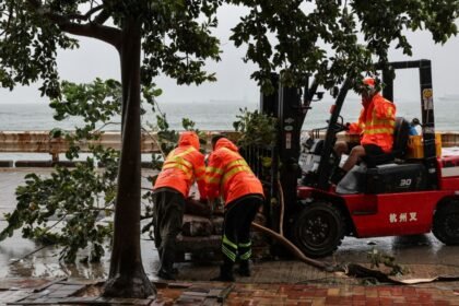 el tifon noul impacta en china evacuan a mas de El tifón "Noul" impacta en China; evacuan a más de 700 mil personas
