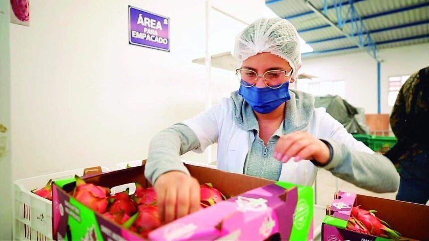 Empresarios de León enfrentan incertidumbre tras decisión de EU sobre T-MEC