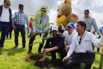 Expertos critican reforestación estatal en San Miguel de Allende por especies inadecuadas.