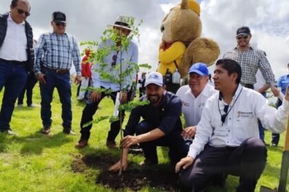 Expertos critican reforestación estatal en San Miguel de Allende por especies inadecuadas.