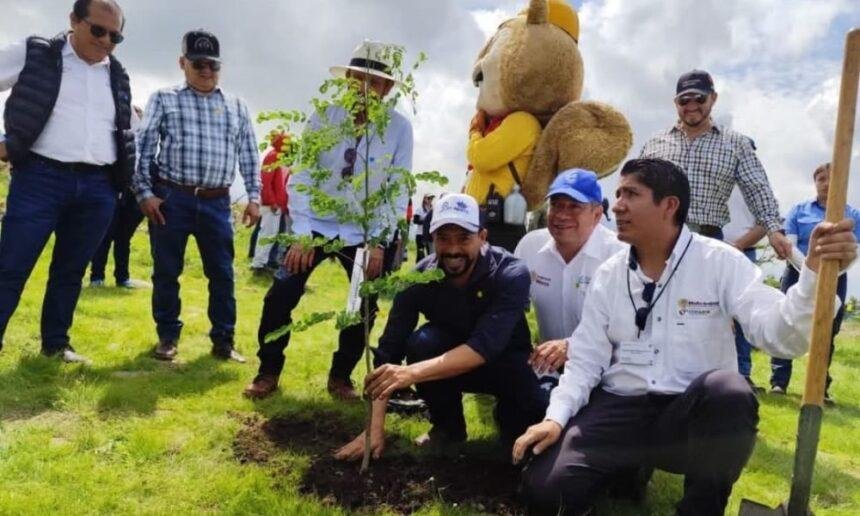 Expertos critican reforestación estatal en San Miguel de Allende por especies inadecuadas.