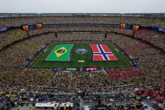 FIFA ofrece césped de la Final del Mundial como piezas coleccionables