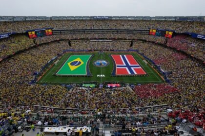 FIFA ofrece césped de la Final del Mundial como piezas coleccionables