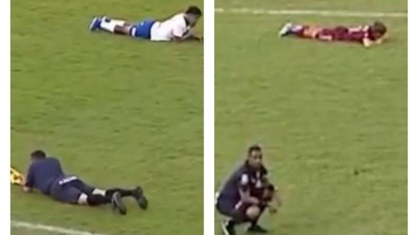 Final del fútbol brasileño suspendida por un ataque de abejas