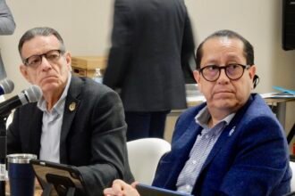 Gabriel Cortés Alcalá preside reunión del Consejo Estatal de Salud Mental en Romita.