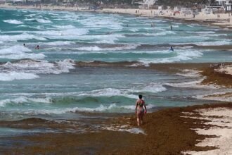Gobierno establece fondo ambiental de 10 millones de dólares para restaurar ecosistemas