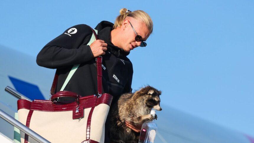 Haaland impresiona en Noruega con un mapache de la cultura estadounidense