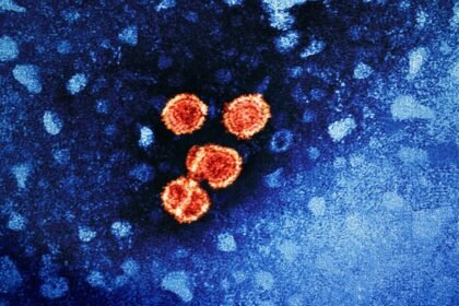 huella celular al morir implicaciones para la salud y medicina Huella celular al morir: Implicaciones para la salud y medicina moderna