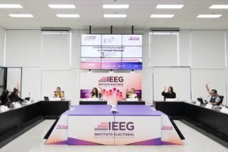 ieeg 6