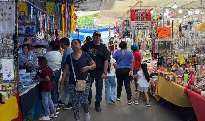 Impacto de Lluvias en Comerciantes de Tianguis en Querétaro