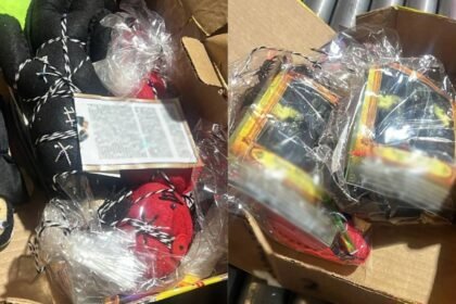 Incautan más de 2.5 kilos de semillas de cannabis en Guadalajara ocultas en muñecos
