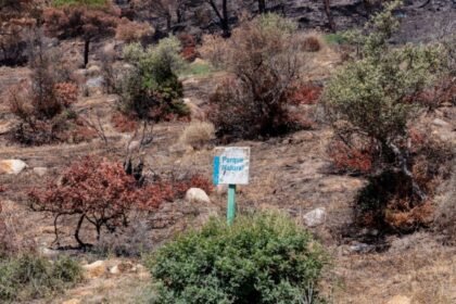 Incendio forestal en España deja 12 muertos y 23 desaparecidos