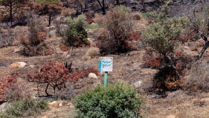 Incendio forestal en España deja 12 muertos y 23 desaparecidos