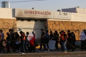 INM concede albergues y rescate humanitario a Eventuarte y Solumax sin experiencia previa.