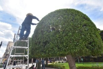 Irapuato promueve iniciativas educativas sobre medio ambiente y economía circular
