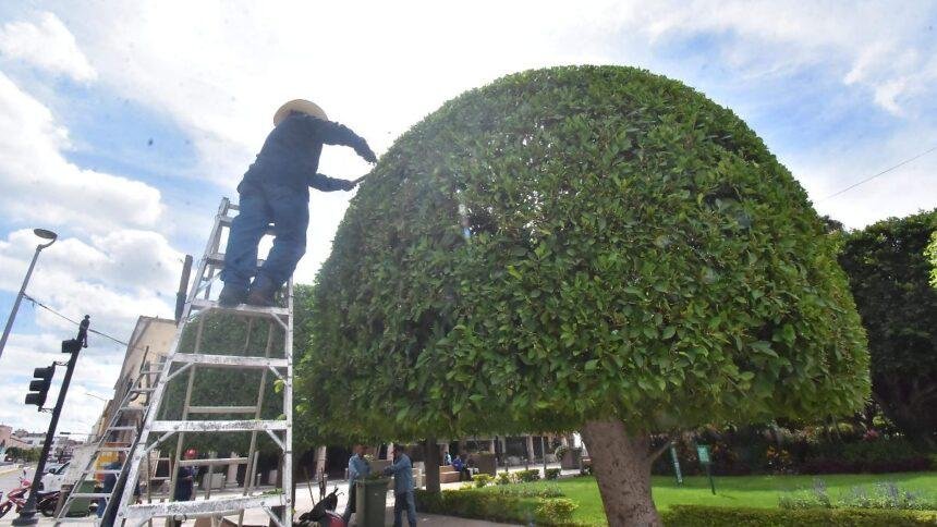 Irapuato promueve iniciativas educativas sobre medio ambiente y economía circular