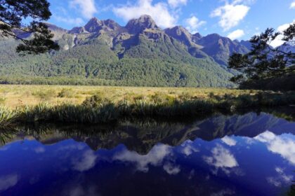 isla sur de nueva zelanda experimenta sismo de magnitud 59 Isla Sur de Nueva Zelanda experimenta sismo de magnitud 5.9; sin tsunami