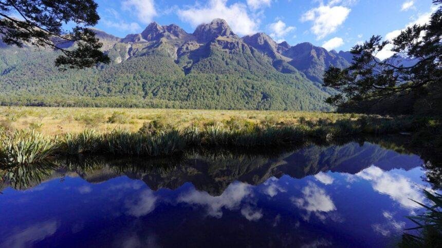 isla sur de nueva zelanda experimenta sismo de magnitud 59 Isla Sur de Nueva Zelanda experimenta sismo de magnitud 5.9; sin tsunami