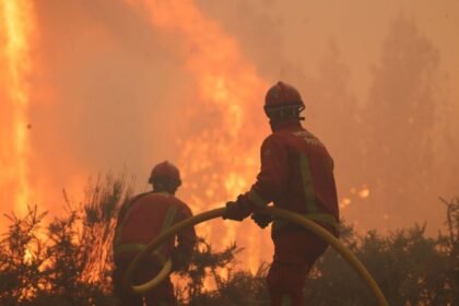 Nueva ola de calor en Francia complica la lucha contra incendios