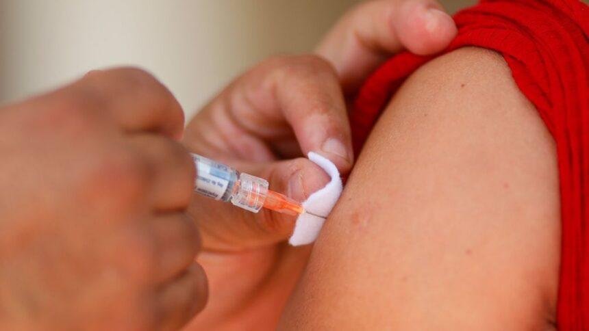 Organizaciones solicitan al gobierno de Sheinbaum incluir vacuna contra el dengue