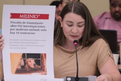 proponen en congreso de san miguel de allende fiscalia especializada Proponen en Congreso de San Miguel de Allende Fiscalía Especializada en Maltrato Animal