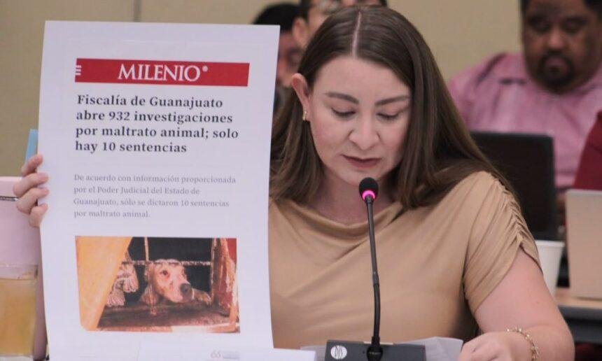 Proponen en Congreso de San Miguel de Allende Fiscalía Especializada en Maltrato Animal