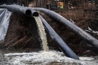 PVEM propone incrementar sanciones por delitos ambientales en México